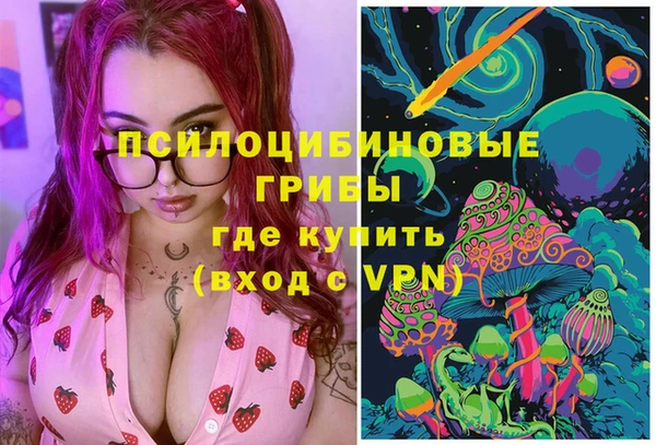 эйфоретик Алзамай
