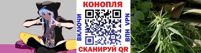 Бошки Шишки конопля  где найти   Куса 